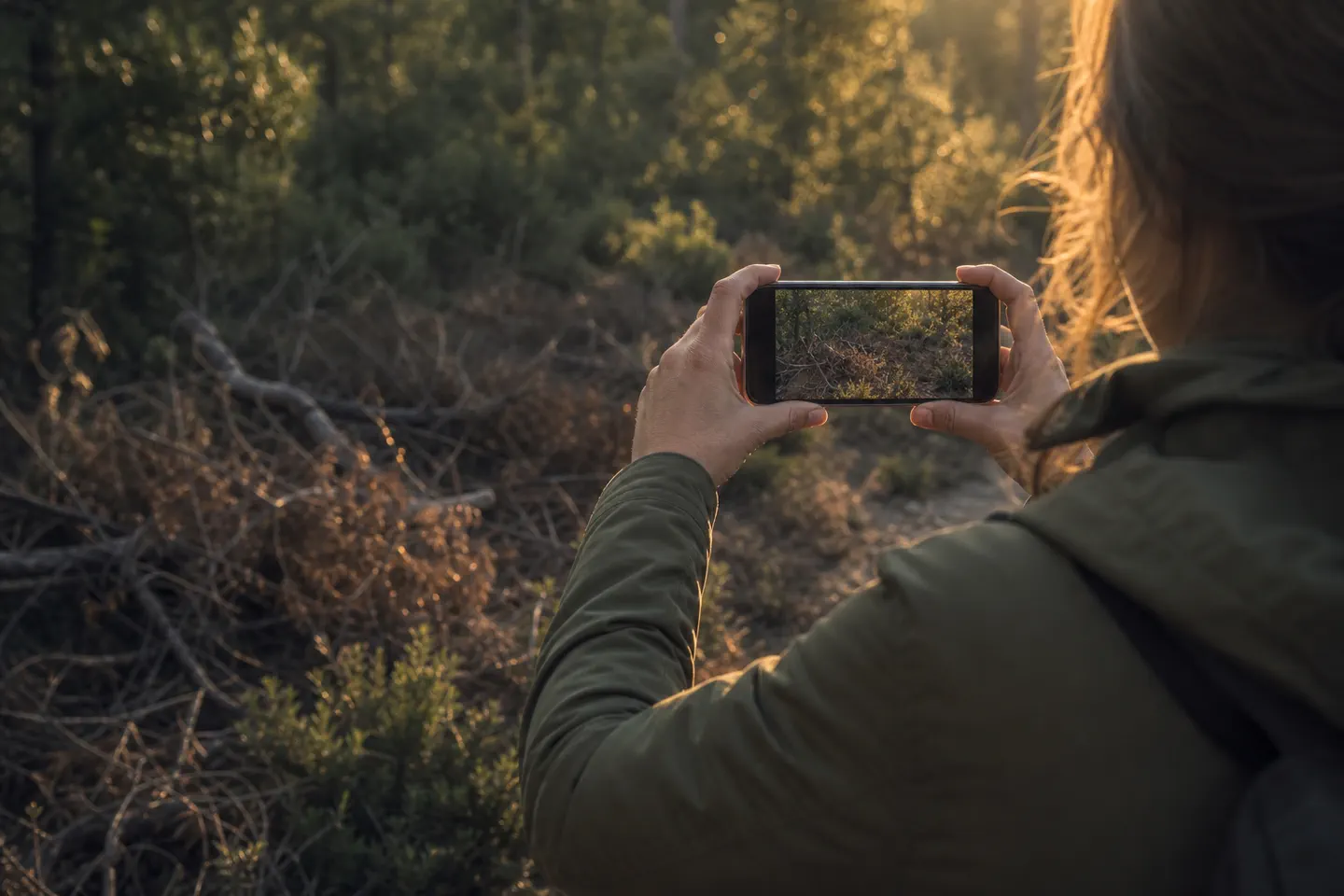 Manos de una senderista fotografían ramas secas con un teléfono desde el propio sendero.